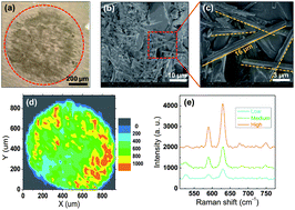 Graphical abstract: A customized Raman system for point-of-care detection of arthropathic crystals in the synovial fluid