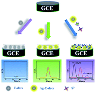 Graphical abstract: Electrochemiluminescence of a nanoAg–carbon nanodot composite and its application to detect sulfide ions