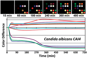 Graphical abstract: Identification of pathogenic fungi with an optoelectronic nose