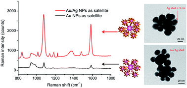 Graphical abstract: DNA-embedded Au–Ag core–shell nanoparticles assembled on silicon slides as a reliable SERS substrate