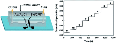 Graphical abstract: A single-walled carbon nanotube thin film-based pH-sensing microfluidic chip