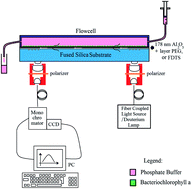 Graphical abstract: Extension of the broadband single-mode integrated optical waveguide technique to the ultraviolet spectral region and its applications