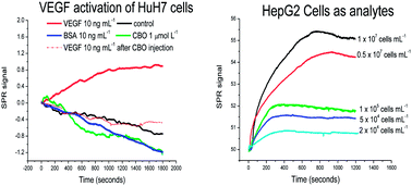 Graphical abstract: On-line surface plasmon resonance biosensing of vascular endothelial growth factor signaling in intact-human hepatoma cell lines