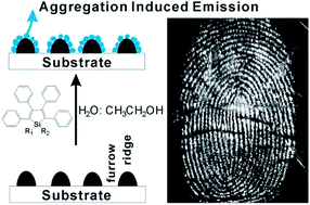 Graphical abstract: Enhancing the visualization of latent fingerprints by aggregation induced emission of siloles