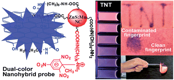 Graphical abstract: Selective visual detection of trace trinitrotoluene residues based on dual-color fluorescence of graphene oxide–nanocrystals hybrid probe