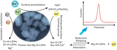 Graphical abstract: Enhancing selectivity in stripping voltammetry by different adsorption behaviors: the use of nanostructured Mg–Al-layered double hydroxides to detect Cd(ii)