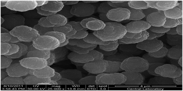 Graphical abstract: Preparation and electrochromatographic characterization of methacrylate-based weak cation exchange columns for capillary electrochromatography