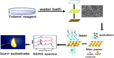Graphical abstract: Silver nanoparticles decorated filter paper via self-sacrificing reduction for membrane extraction surface-enhanced Raman spectroscopy detection