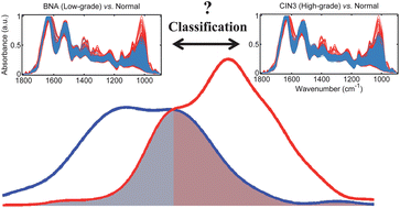 Graphical abstract: Biospectroscopy insights into the multi-stage process of cervical cancer development: probing for spectral biomarkers in cytology to distinguish grades