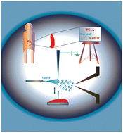 Graphical abstract: Biomolecular analysis and cancer diagnostics by negative mode probe electrospray ionization