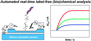 Graphical abstract: Integrated label-free silicon nanowire sensor arrays for (bio)chemical analysis