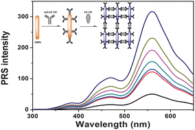 Graphical abstract: Cancer antigen 125 detection using the plasmon resonance scattering properties of gold nanorods