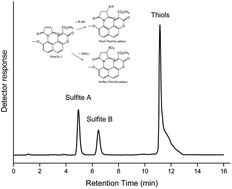 Graphical abstract: Quantification of protein thiols using ThioGlo 1 fluorescent derivatives and HPLC separation