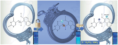 Graphical abstract: An Al3+ and H2PO4−/HSO4− selective conformational arrest and bail to a pyrimidine-naphthalene anchored molecular switch