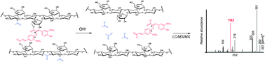 Graphical abstract: Profiling of diferulates (plant cell wall cross-linkers) using ultrahigh-performance liquid chromatography-tandem mass spectrometry