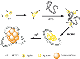 Graphical abstract: Localized surface plasmon resonance light-scattering detection of Hg(ii) with 3-aminopropyltriethoxysilane-assisted synthesis of highly stabilized Ag nanoclusters