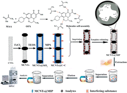 Graphical abstract: Preparation of molecularly imprinted polymers on the surface of magnetic carbon nanotubes with a pseudo template for rapid simultaneous extraction of four fluoroquinolones in egg samples