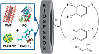 Graphical abstract: Pt–Pd bimetallic nanoparticles dispersed in an ionic liquid and peroxidase immobilized on nanoclay applied in the development of a biosensor