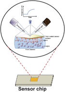 Graphical abstract: Label-free methods of reporting biomolecular interactions by optical biosensors
