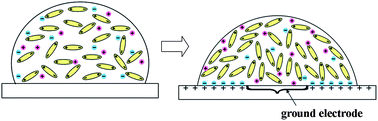 Graphical abstract: Influence of electrolytes on contact angles of droplets under electric field