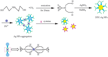 Graphical abstract: Dithiocarbamate-capped silver nanoparticles as a resonance light scattering probe for simultaneous detection of lead(ii) ions and cysteine