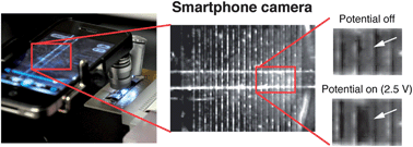 Graphical abstract: Smartphone-based detection of unlabeled DNA via electrochemical dissolution