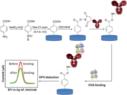 Graphical abstract: A graphene-based label-free voltammetric immunosensor for sensitive detection of the egg allergen ovalbumin