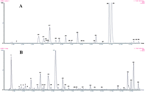 Graphical abstract: Rapid discovery and global characterization of chemical constituents and rats metabolites of Phellodendri amurensis cortex by ultra-performance liquid chromatography-electrospray ionization/quadrupole-time-of-flight mass spectrometry coupled with pattern recognition approach