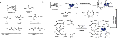 Graphical abstract: The synthesis of molecular imprinted chitosan-gels copolymerized with multiform functional monomers at three different temperatures and the recognition for the template ovalbumin