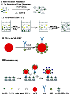 Graphical abstract: A competitive immunoassay based on gold nanoparticles for the detection of chromium in water samples