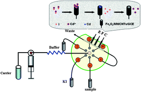 Graphical abstract: Application of MWCNTs/Fe3O4 modified electrode under inducing adsorption for rapid and sensitive detection of cadmium in a lab-on-valve system
