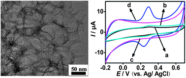 Graphical abstract: Electrochemical behavior of luteolin and its detection based on macroporous carbon modified glassy carbon electrode
