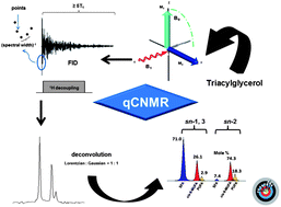 Graphical abstract: Critical considerations for fast and accurate regiospecific analysis of triacylglycerols using quantitative 13C NMR