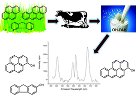 Graphical abstract: Analysis of polycyclic aromatic hydrocarbon metabolites in cow's milk by liquid–liquid extraction and synchronous room-temperature fluorescence spectroscopy