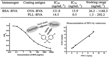 Graphical abstract: An indirect competitive enzyme-linked immunosorbent assay for bisphenol-A based on the synthesis of a poly-l-lysine–hapten conjugate as a coating antigen