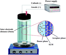 Graphical abstract: Low-voltage electromembrane extraction combined with cyclodextrin modified capillary electrophoresis for the determination of phenoxy acid herbicides in environmental samples