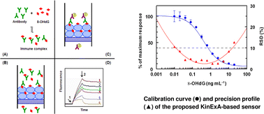 Graphical abstract: A highly sensitive automated flow immunosensor based on kinetic exclusion analysis for determination of the cancer marker 8-hydroxy-2′-deoxyguanosine in urine