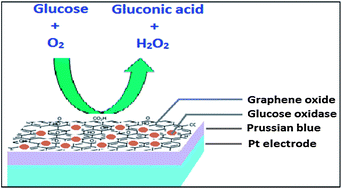 Graphical abstract: Amperometric detection of glucose using Prussian blue-graphene oxide modified platinum electrode