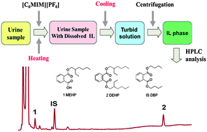 Graphical abstract: Simultaneous determination of plasticizer di(2-ethylhexyl)phthalate and its metabolite in human urine by temperature controlled ionic liquid dispersive liquid–liquid microextraction combined with high performance liquid chromatography