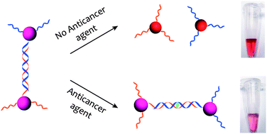 Graphical abstract: Colorimetric anticancer drug detection by gold nanoparticle-based DNA interstrand cross-linking