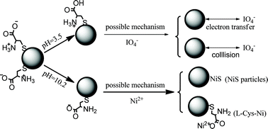 Graphical abstract: Determination of IO4− and Ni2+ ions using l-cysteine-CdTe/ZnS quantum dots as pH-dependent fluorescent probes