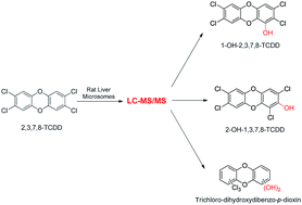 Graphical abstract: A new method for identification of in vitro metabolites of 2,3,7,8-TCDD with rat liver microsomes by using liquid chromatography-mass spectrometry