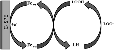 Graphical abstract: Lipid hydroxide determination on a ferrocenemethanol modified electrode