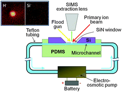 Graphical abstract: Performance of a microfluidic device for in situ ToF-SIMS analysis of selected organic molecules at aqueous surfaces