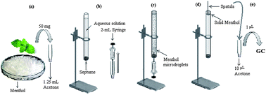 Graphical abstract: Study of menthol as a green extractant in dispersive liquid–liquid microextraction; application in extraction of phthalate esters from pharmaceutical products