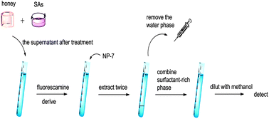 Graphical abstract: Ultrasound-assisted cloud point extraction for the determination of sulfonamides in honey samples by fluorescence spectrophotometry