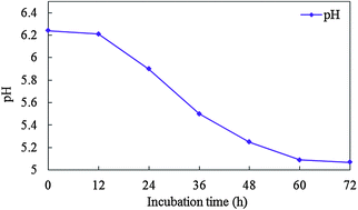 Graphical abstract: Qualitative and quantitative analysis in solid-state fermentation of protein feed by FT-NIR spectroscopy integrated with multivariate data analysis