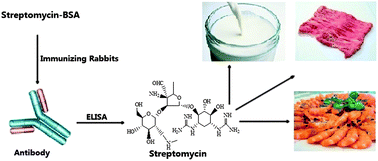 Determination of streptomycin residues in animal-derived foods by a