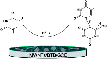 Graphical abstract: Electrochemical behavior of 5-fluorouracil on a glassy carbon electrode modified with bromothymol blue and multi-walled carbon nanotubes