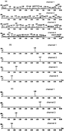 Graphical abstract: Pharmacokinetic properties of ephedrine, amygdalin and glycyrrhizic acid after oral gavage of San-Ao-decoction in beagle dogs using a UPLC-MS method